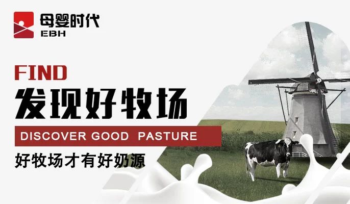 麻豆精品在线播放五年磨一剑，已经站上高速发展的起跑线——陕西之新秀篇