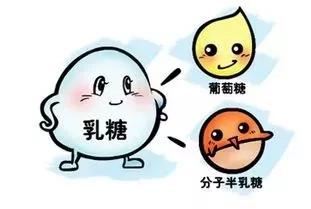 90%以上的人都有“乳糖不耐症”，宝妈春季实力之选