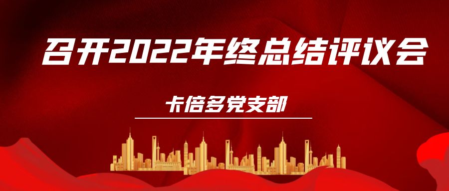 麻豆精品在线播放党支部召开2022年终总结评议会